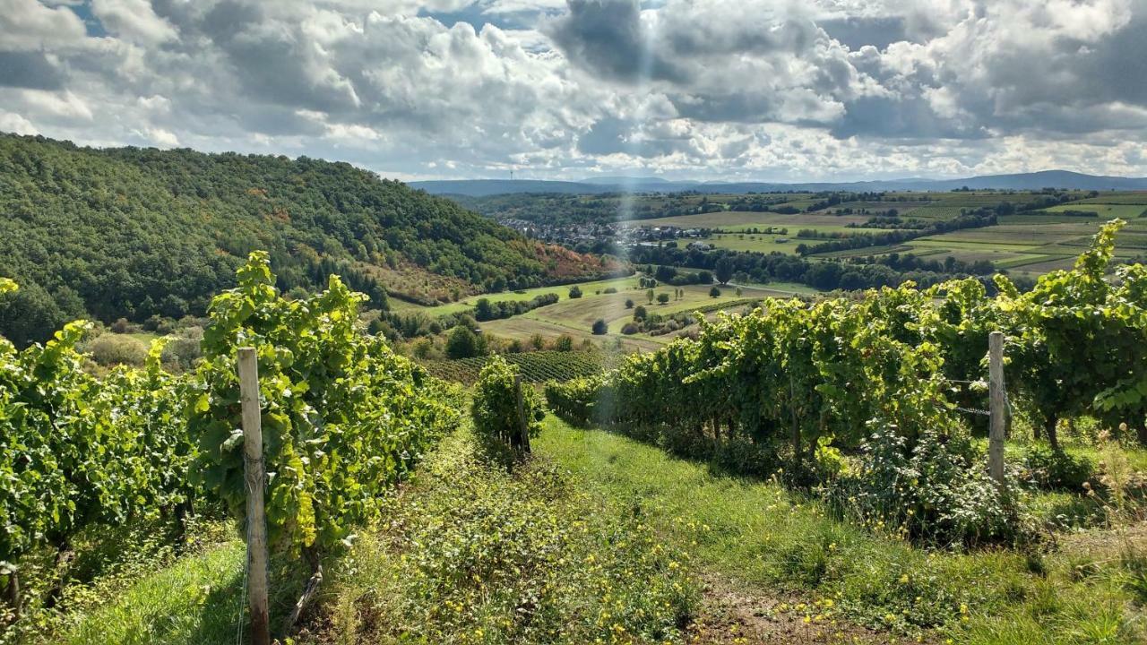 Ruhe Pur Am Golfplatz Stromberg Daire Stromberg  Dış mekan fotoğraf
